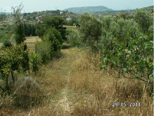 ΠΩΛΗΣΗ ΟΙΚΟΠΕΔΟΥ ΣΤΟ ΚΟΡΩΠΙ